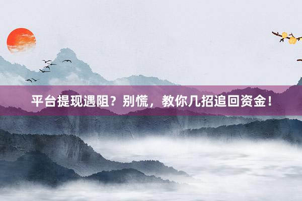 平台提现遇阻？别慌，教你几招追回资金！